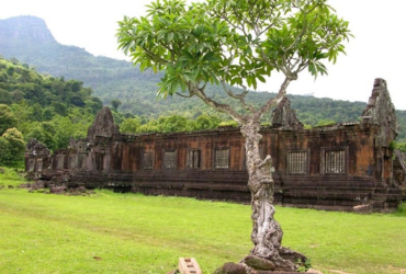 Hội nhập di sản thế giới