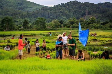 Du lịch Lào ghé làng Naduang xinh đẹp